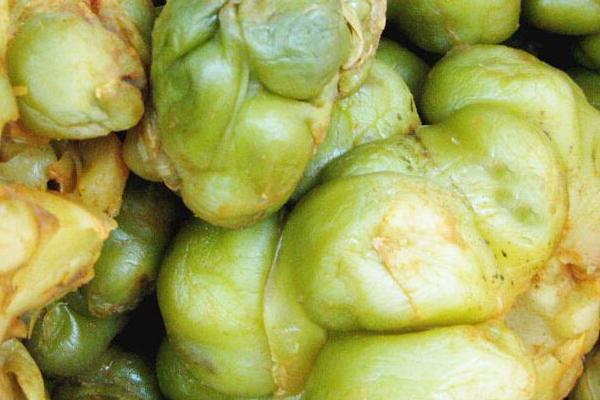 2018种榨菜赚钱吗?榨菜种植的利润与投资成本及前景预测