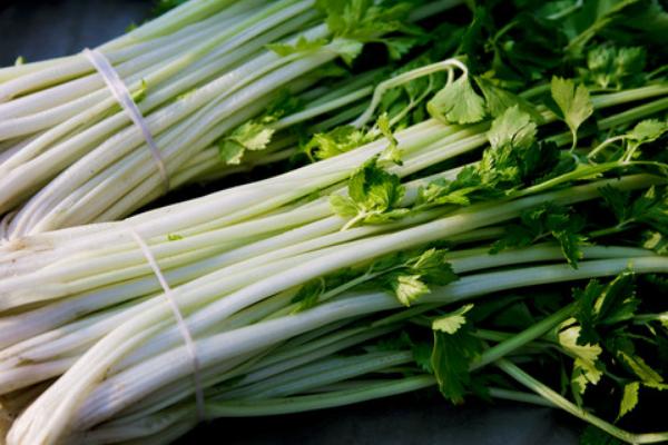 2018种芹菜赚钱吗?芹菜种植的利润与投资成本及前景预测