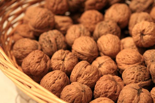 2018种核桃赚钱吗?核桃种植的利润与投资成本及前景预测