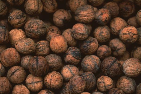 2018种核桃赚钱吗?核桃种植的利润与投资成本及前景预测