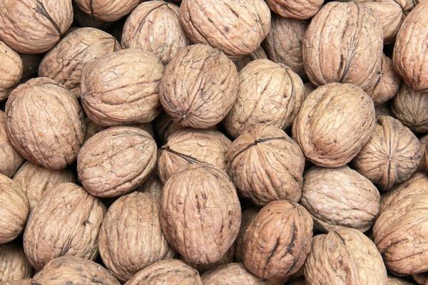 2018种核桃赚钱吗?核桃种植的利润与投资成本及前景预测