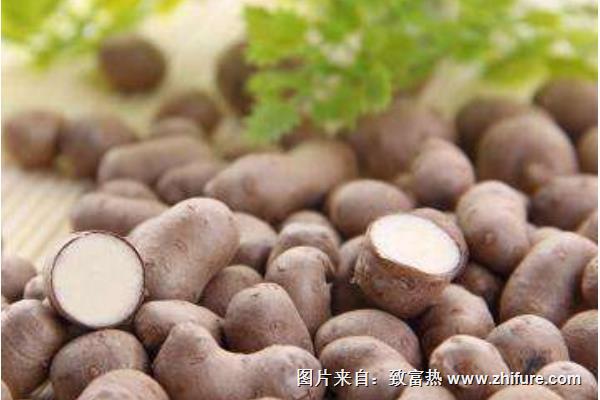 山药豆与山药的区别是什么