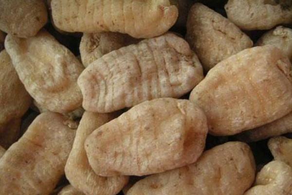 2018种天麻赚钱吗?天麻种植的利润与投资成本及前景预测