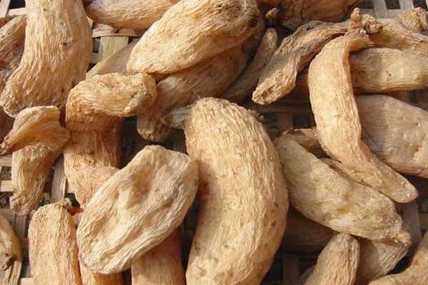 2018种天麻赚钱吗?天麻种植的利润与投资成本及前景预测