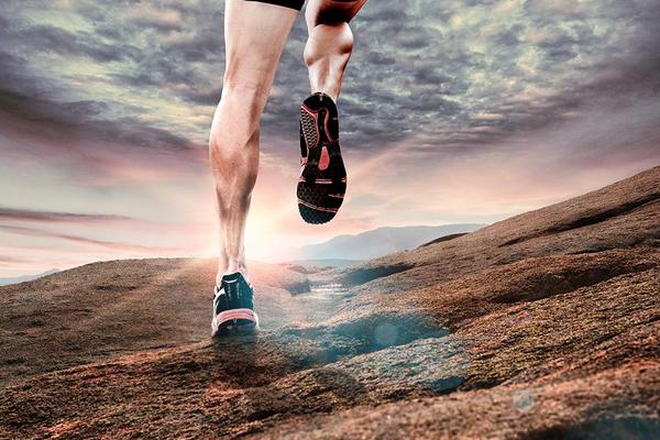 洋葱对前列腺有好处吗