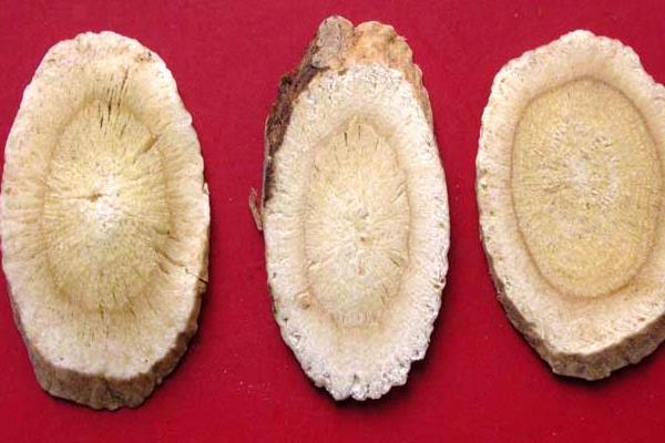 黄芪种子什么时候发芽出苗比较好?