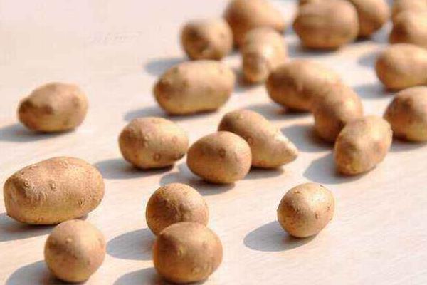 山药豆图片大全