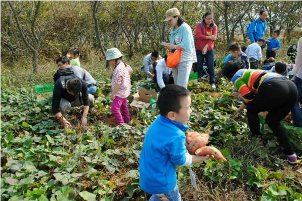 2017年农村小本创业可行性项目有哪些?