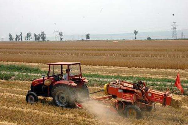 2017年农村小本创业可行性项目有哪些?