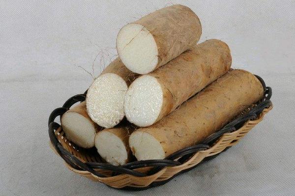 山药豆是山药的种子吗