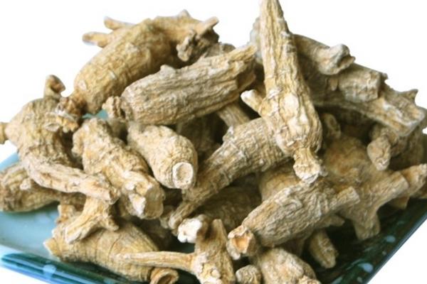 2018种西洋参赚钱吗?西洋参种植的利润与投资成本及前景预测