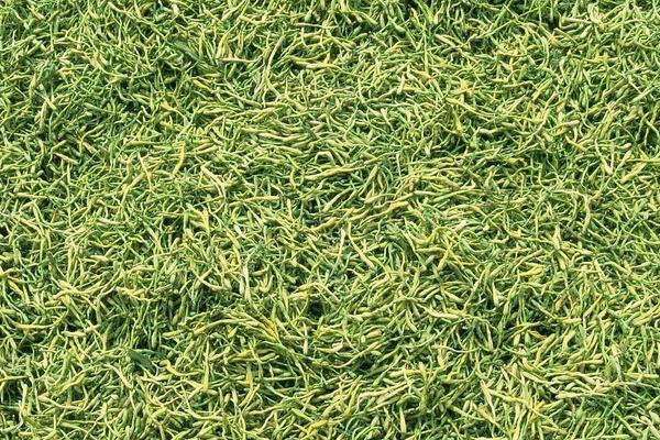 2018种金银花赚钱吗?金银花种植的利润与投资成本及前景预测