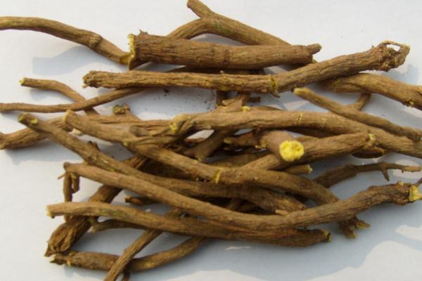 2018种黄岑赚钱吗?黄岑种植的利润与投资成本及前景预测