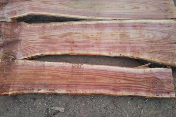 香椿木做什么用最好