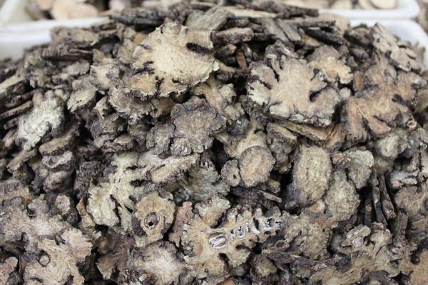 2018种川芎赚钱吗?川芎种植的利润与投资成本及前景预测