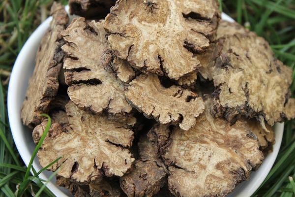 2018种川芎赚钱吗?川芎种植的利润与投资成本及前景预测