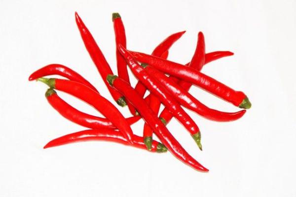 尖椒价格多少钱一斤