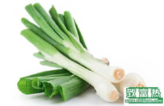 2017种大葱赚钱吗?2017种大葱前景及市场价格行情分析
