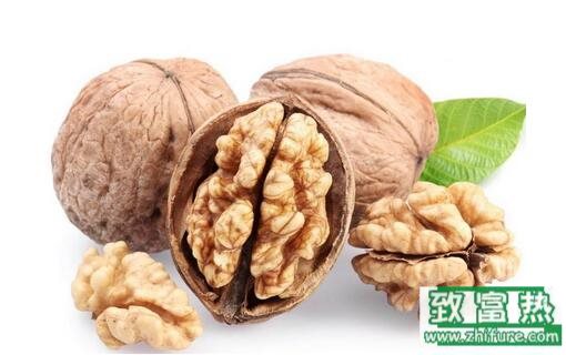 2017种核桃赚钱吗?2017种核桃前景及市场价格行情分析