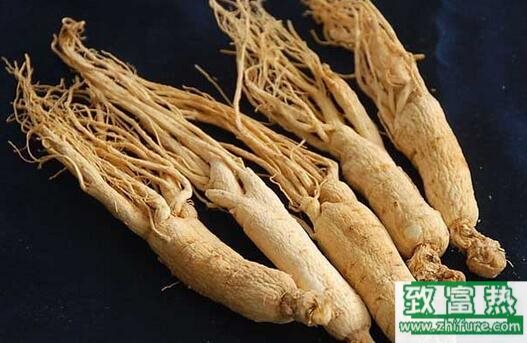 2017种西洋参赚钱吗?2017种西洋参前景及市场价格行情分析