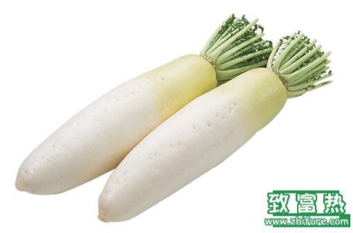 2017种萝卜赚钱吗?2017种萝卜前景及市场价格行情分析