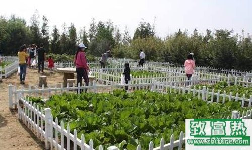 五个小本经营的项目