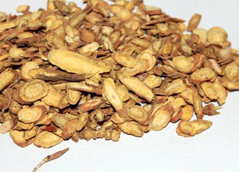 2017种黄芩赚钱吗?