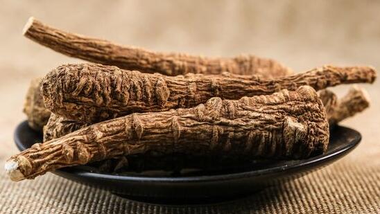 2017种植白芷的前景和市场价格行情