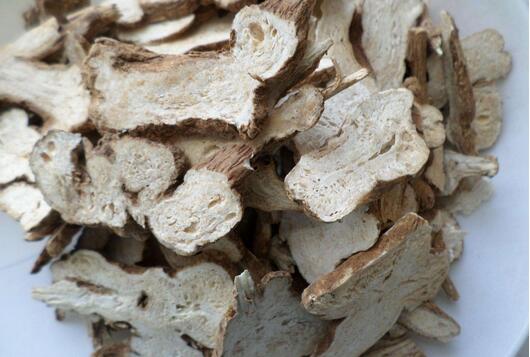 2017种白术赚钱吗?