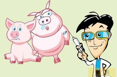 猪常见病用药5个处方