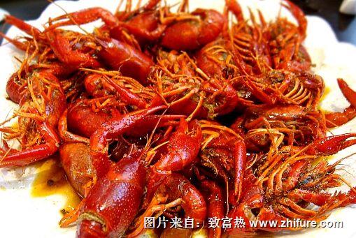 小龙虾应该如何养殖呢?