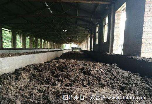 猪粪可以怎么利用？