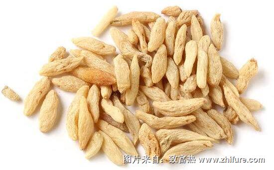 2017种麦冬赚钱吗?2017种麦冬前景及市场价格行情分析