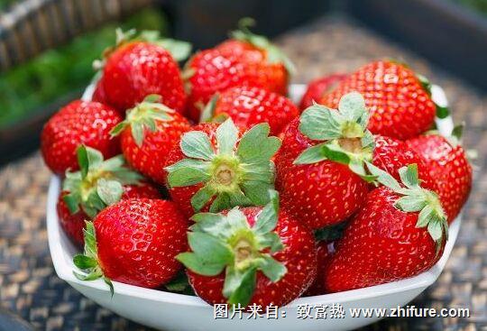 草莓怎么储存才不会变坏?
