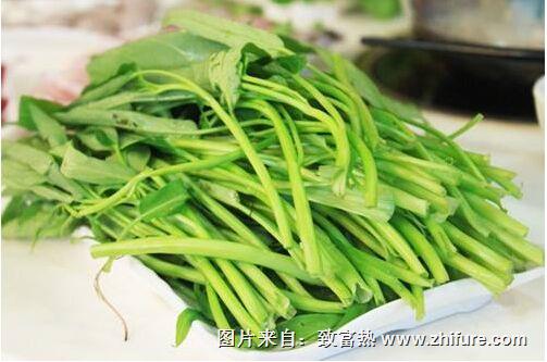 空心菜有什么病虫害需要防治么?