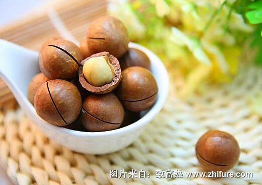 夏威夷坚果怎么种?