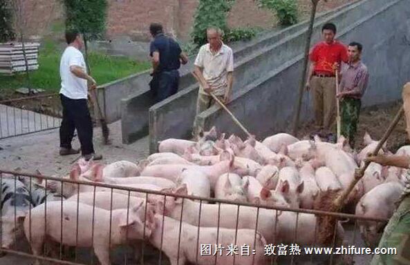 猪场养殖废水的处理技术