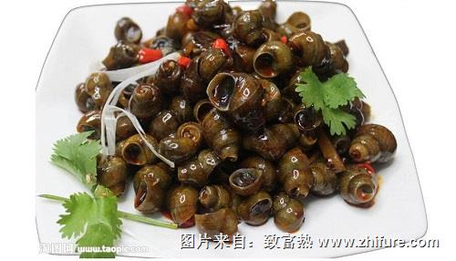 田螺有寄生虫吗?