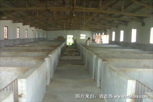 小型养猪场要投资多少钱?