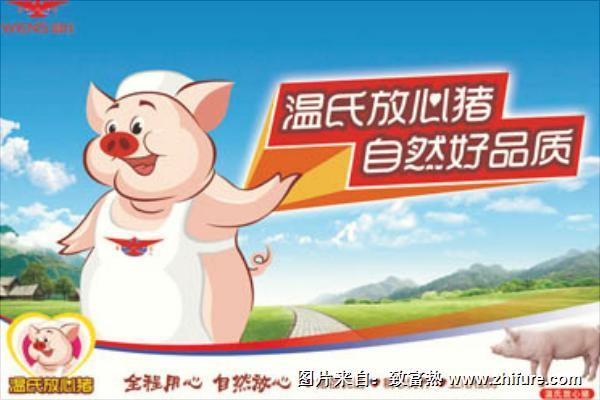 温氏养猪加盟流程与条件