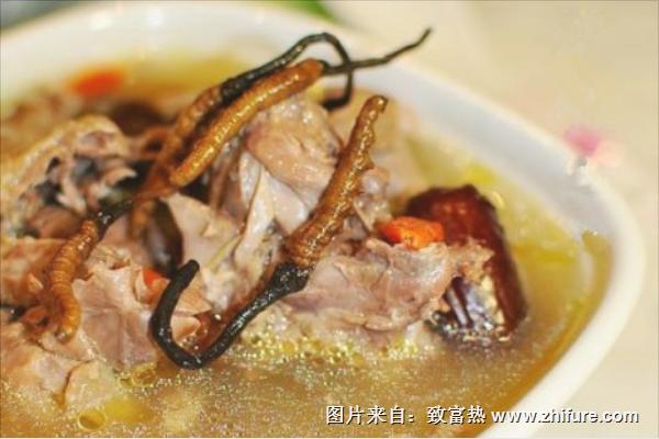 鸽子炖什么补肾?