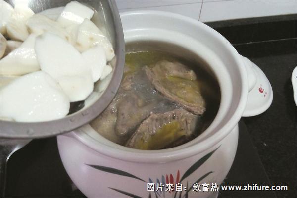 鸽子炖什么补肾?