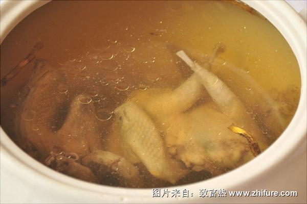 鸽子炖什么补肾?