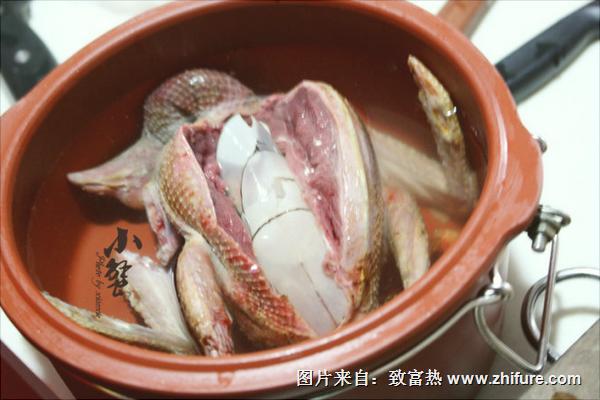 孕妇可以吃鸽子汤吗?