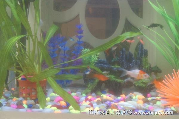 养鱼水浇花好吗?