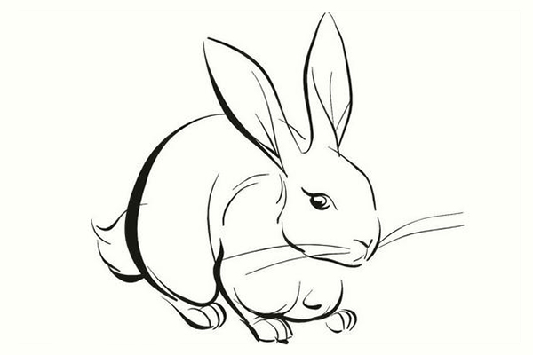 兔子简笔画怎么画步骤?兔子简笔画图片大全