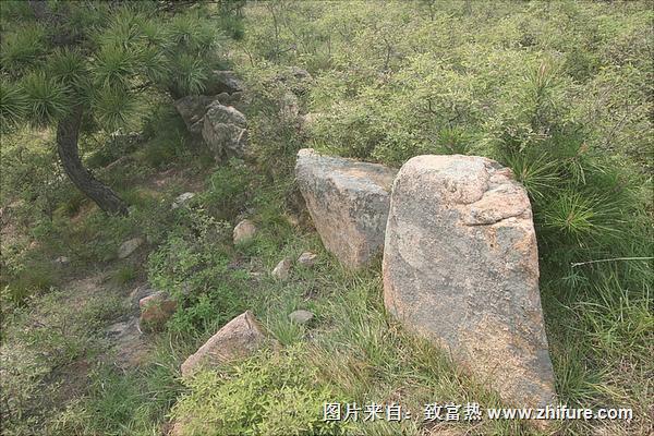 狐狸山真实描述(附谣传内容及图片)