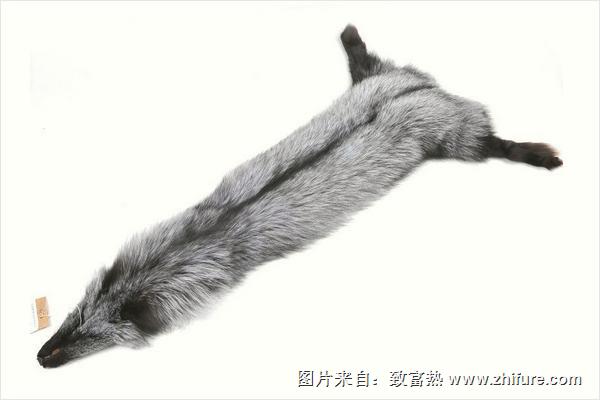 狐狸皮最新价格多少钱一张?