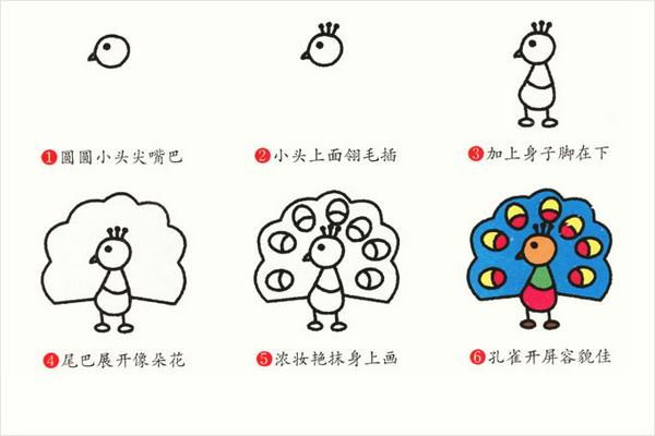 孔雀简笔画带颜色(画图步骤)