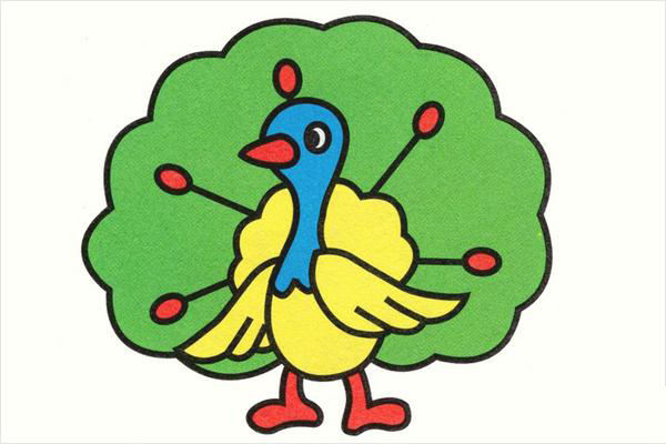 孔雀简笔画带颜色(画图步骤)